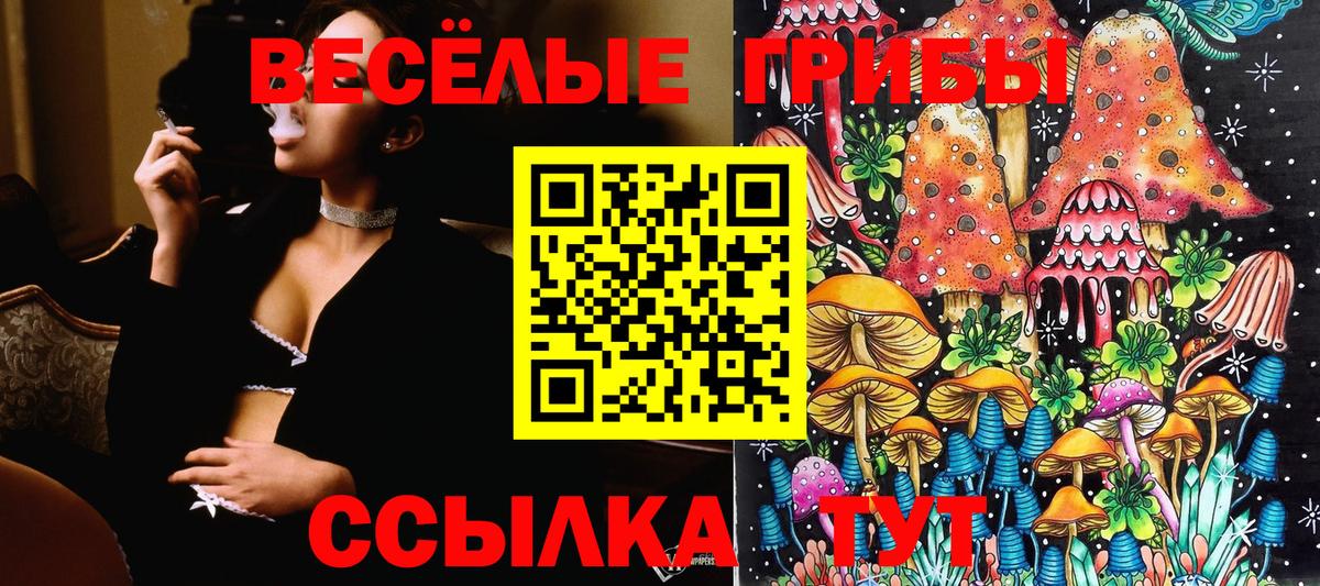 Галлюциногенные грибы Cubensis  Вход с VPN  Москва  Галлюциногенные грибы MAGIC MUSHROOMS 