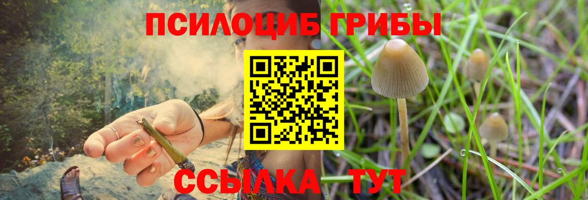 Галлюциногенные грибы Cubensis Москва